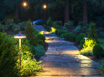 Path Lights