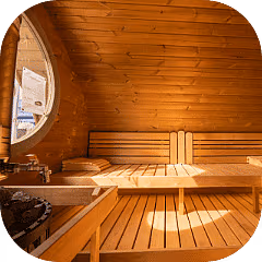 SaunaLife G11 Inside Sauna