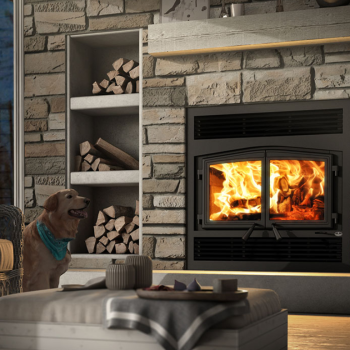 Wood Burning Indoor Fireplace